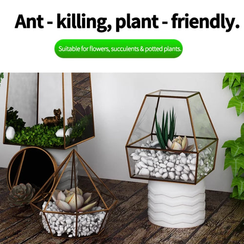  Ant Bait cashymart