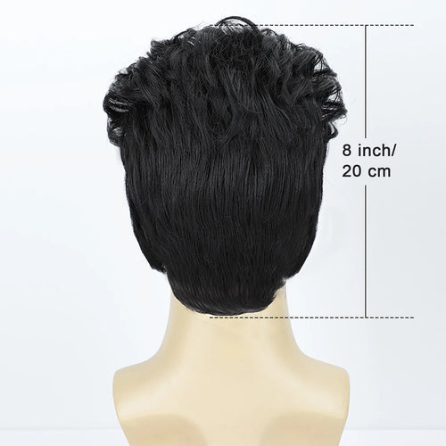  BCHR Rock Legend Black Synthetic Wig for Men cashymart