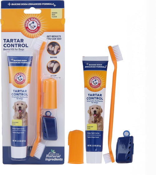  Banana Mint Tartar Control Kit cashymart