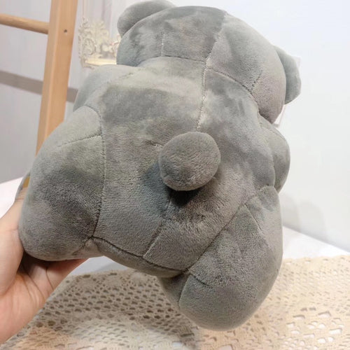  Bear Hug Gifts cashymart