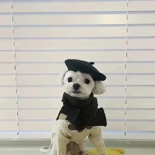  Beret pet hat cashymart