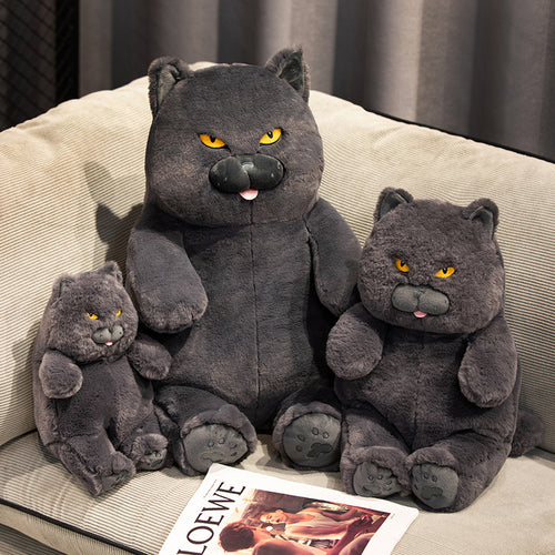  Black Cat Plush cashymart