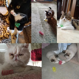  Bouncy Colorful Spring Cat Toys cashymart