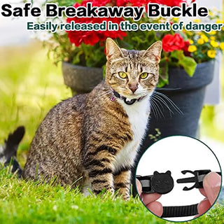  Breakaway Cat Collar cashymart