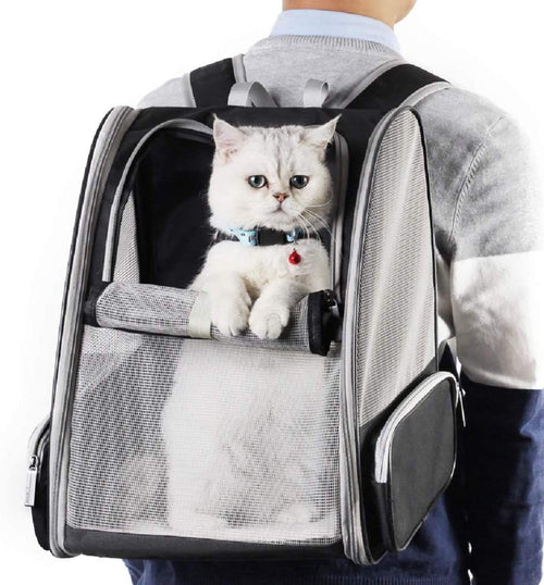  Bubble Backpack Carrier for Cats cashymart
