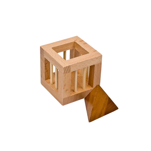  Caged Triangle Brain Teaser cashymart