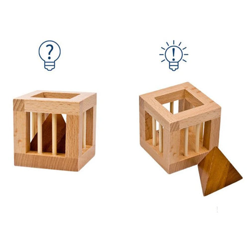  Caged Triangle Brain Teaser cashymart