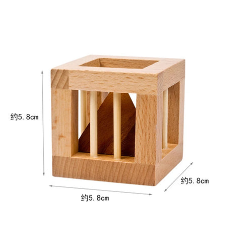  Caged Triangle Brain Teaser cashymart