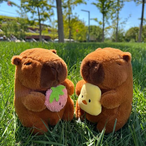  Capybara Plush Toys cashymart