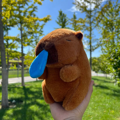  Capybara Plush Toys cashymart