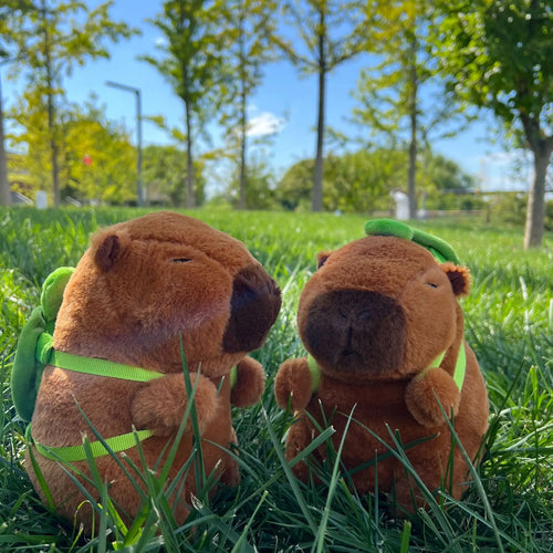  Capybara Plush Toys cashymart