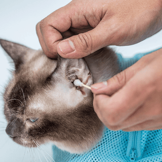  Cat Grooming and Bathing Bag cashymart