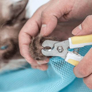  Cat Grooming and Bathing Bag cashymart