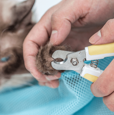  Cat Grooming and Bathing Bag cashymart