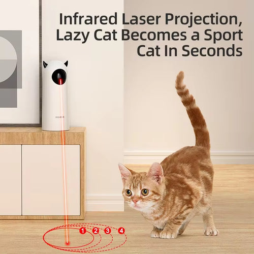  Cat Laser Toy cashymart