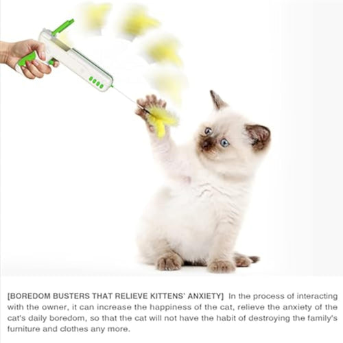  Cat Toy with Ball cashymart
