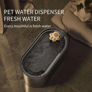  Cat Water Fountain Filter Automatic cashymart