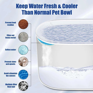  Cat Water Fountain Filter Automatic cashymart