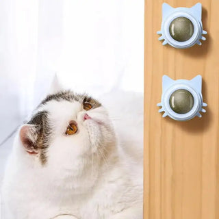  Catnip Lollipop Ball Toy for Cats cashymart