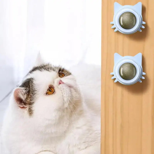  Catnip Lollipop Ball Toy for Cats cashymart