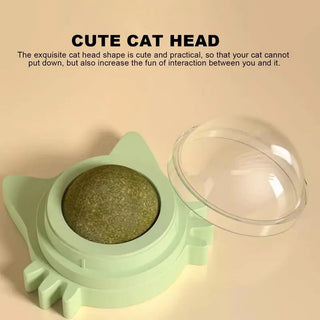  Catnip Lollipop Ball Toy for Cats cashymart