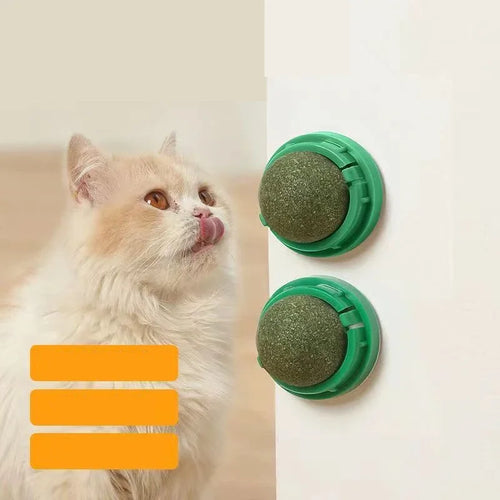  Catnip Wall Ball Toy & Snack cashymart