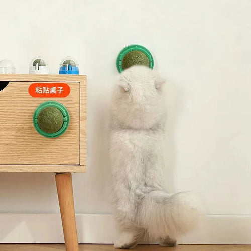  Catnip Wall Ball Toy & Snack cashymart