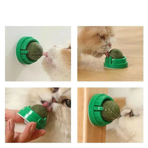  Catnip Wall Ball Toy & Snack cashymart
