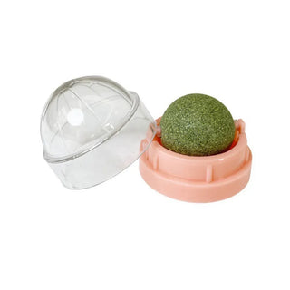  Catnip Wall Ball Toy & Snack cashymart
