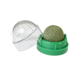  Catnip Wall Ball Toy & Snack cashymart