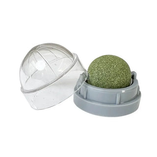  Catnip Wall Ball Toy & Snack cashymart