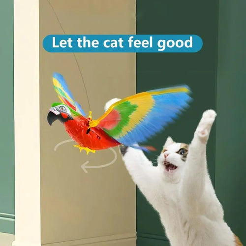  Ceiling-Activated Cat Bird Toy for Endless Playtime Fun! cashymart