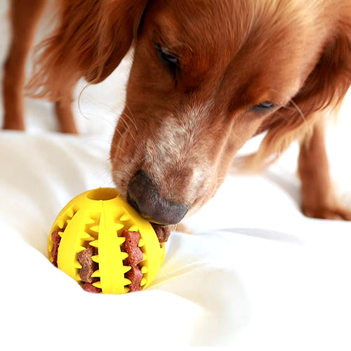  Chew & Treat Ball for Dogs cashymart