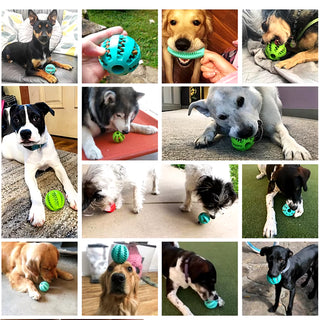  Chew & Treat Ball for Dogs cashymart