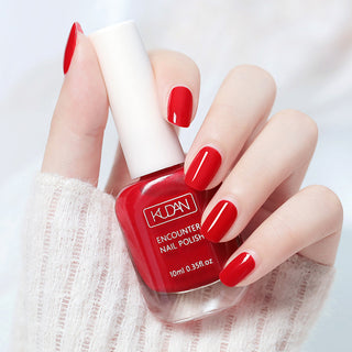  Chic 10ml Quick-Dry Nail Polish cashymart