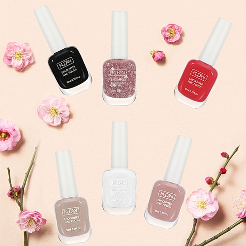  Chic 10ml Quick-Dry Nail Polish cashymart