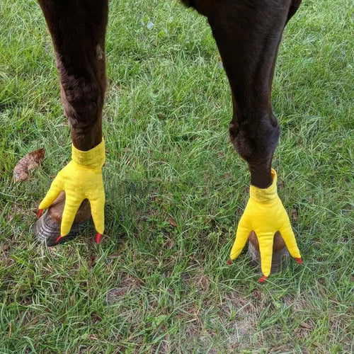  Chicken Legs Socks cashymart