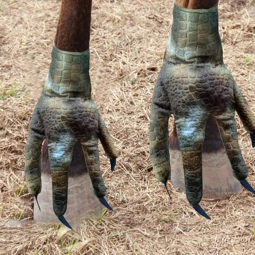  Chicken Legs Socks cashymart