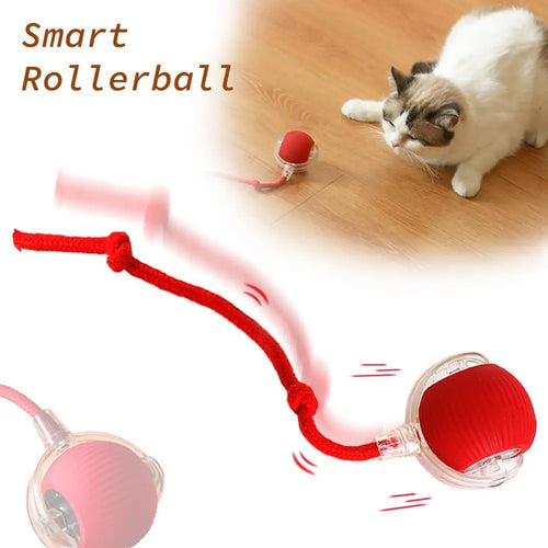  Chirping Motion-Activated Cat Ball cashymart