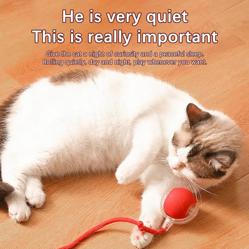  Chirping Motion-Activated Cat Ball cashymart