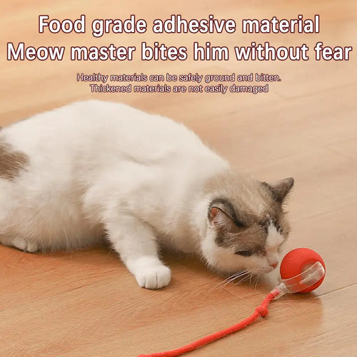  Chirping Motion Cat Ball: Interactive Teaser Toy cashymart