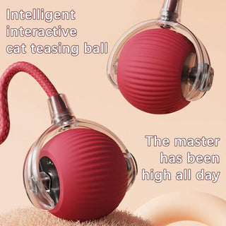  Chirping Motion Cat Ball: Interactive Teaser Toy cashymart