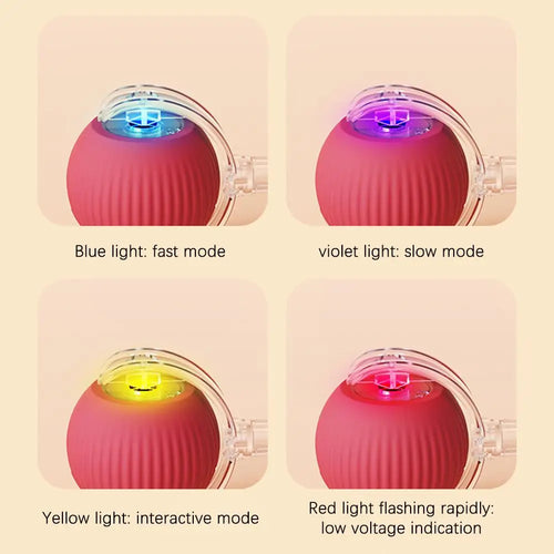  Chirping Motion Cat Ball: Interactive Teaser Toy cashymart