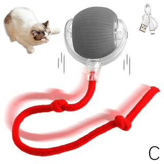  Chirping Motion Cat Ball: Interactive Teaser Toy cashymart