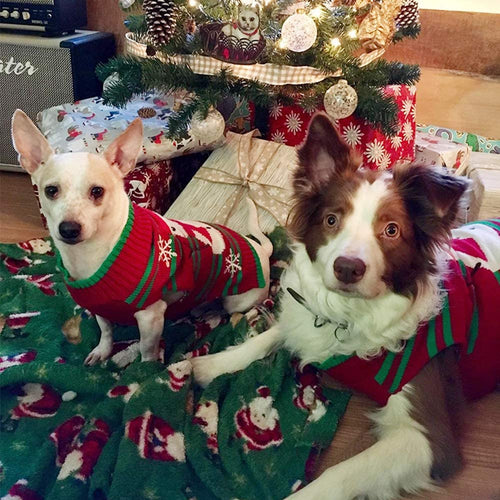  Christmas Sweater for Dogs and Cats cashymart