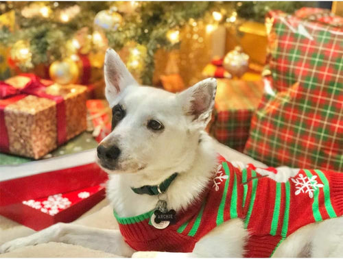  Christmas Sweater for Dogs and Cats cashymart