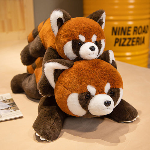  Coati Plush Toy Collection cashymart