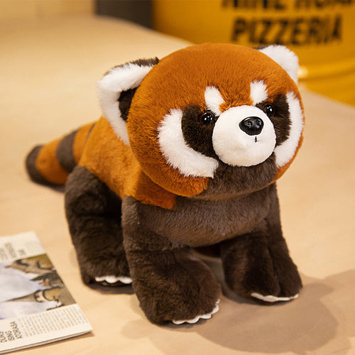  Coati Plush Toy Collection cashymart