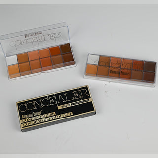 Concealer 12 colors cashymart
