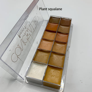  Concealer 12 colors cashymart